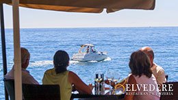 Belvedere Restaurant Pizzeria - Puerto Banus